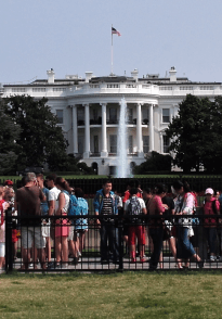 img-12 img-12